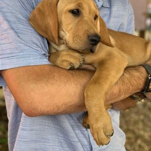 Meet your Posher, Britney